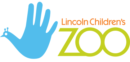 Critter Corner with the Lincoln Children’s Zoo
